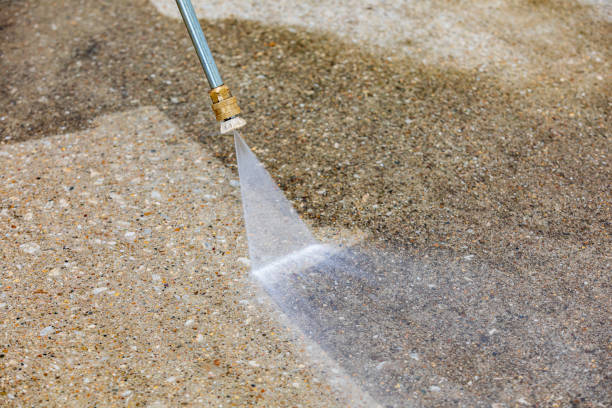 Best Pre-Holiday Cleaning  in Salem, IL